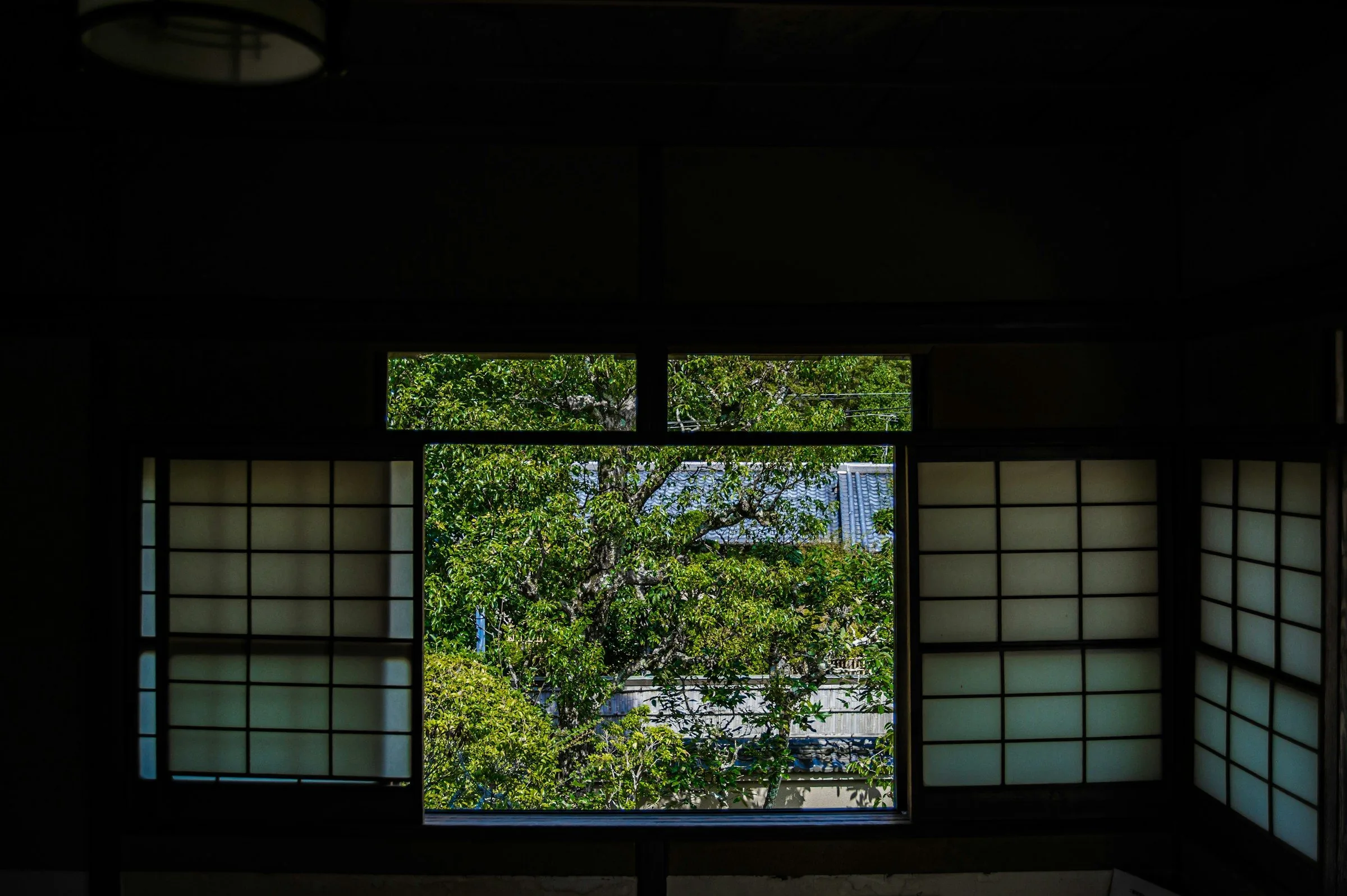 Green trees framed by a wide window in a dark timber room with shoji above