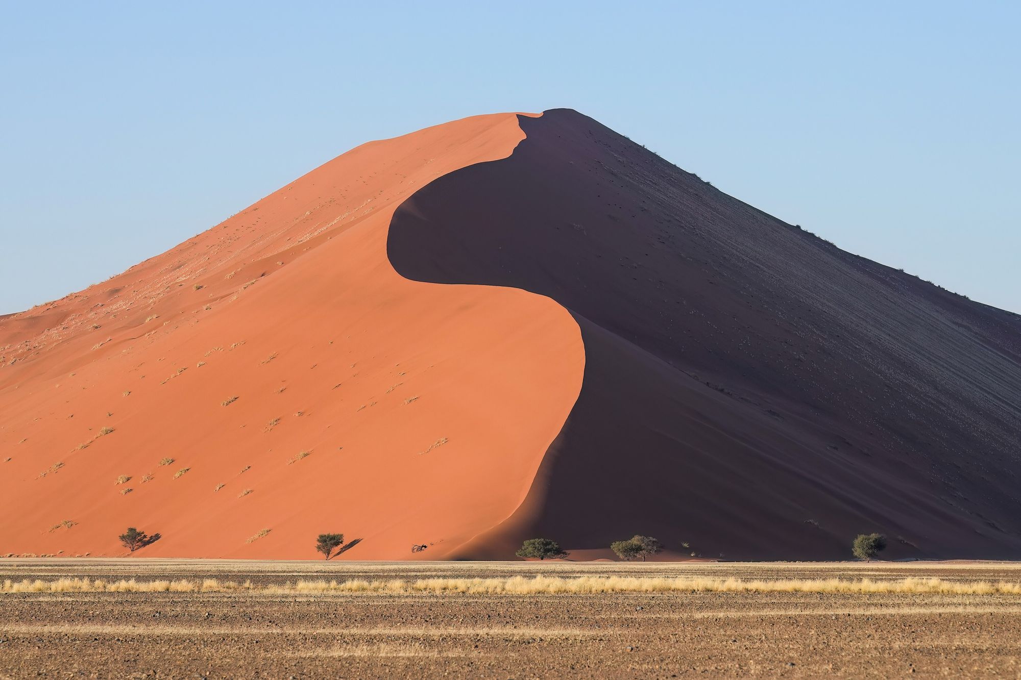 Dune 45 at sunrise, half in light and half in shadow, above a flat plain