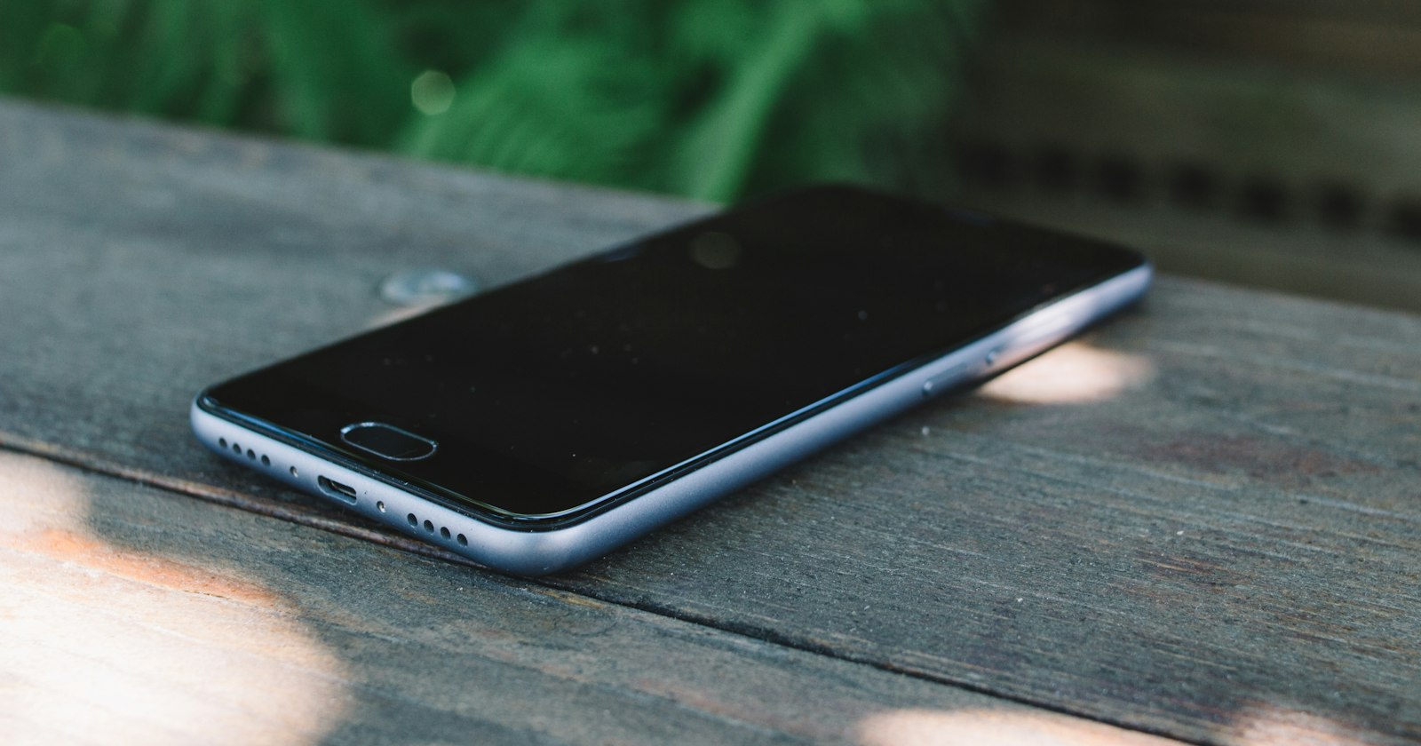 A smartphone lying on an outdoor wooden table with green plants behind — AEO services